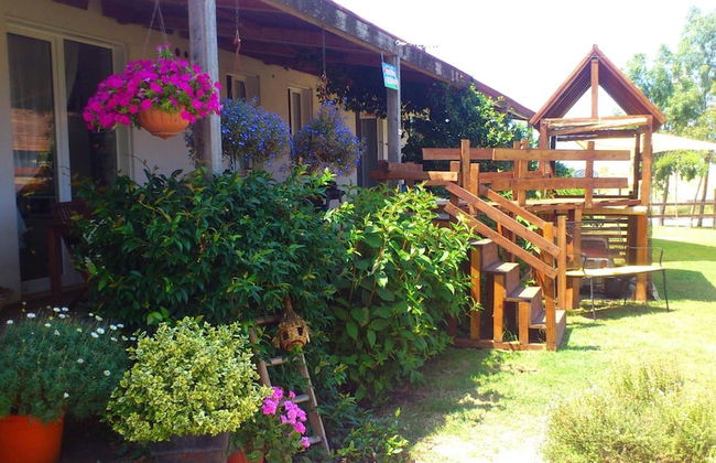 Oca Giuliva - Foto 29