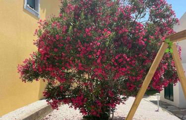 Quinta de Toubres - Foto 23