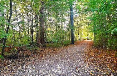 Central Private Cozy Room w own entrance, Spacious Bathroom, on-site parking - Foto 14