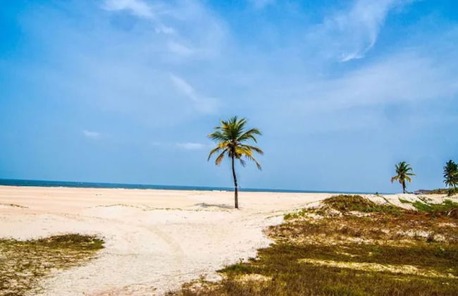 Veeniola Apartment - Stay in Goa - Foto 8