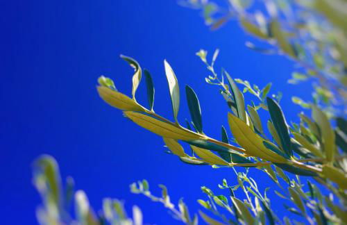 Residenza Limpiddu - Foto 32