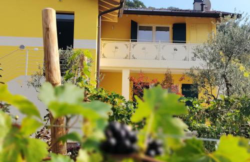 Sole e Luna nella Vigna - Foto 33