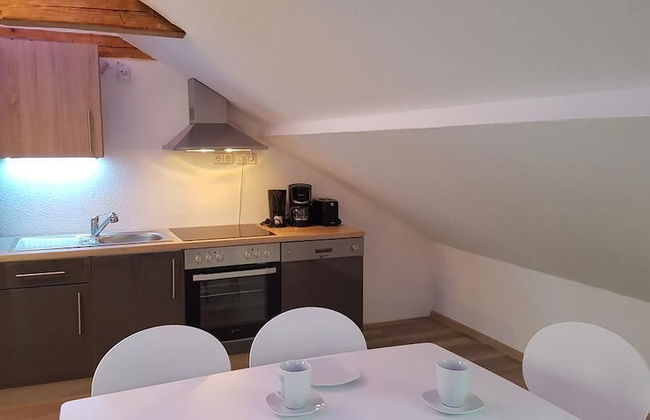 Dresdner-Tag Hermann - Foto 5