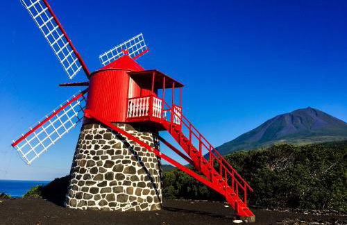 Casa do Almance - Photo 48