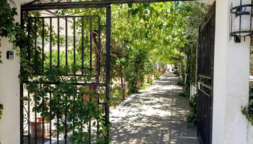 Terre Cretoise - Foto 5, Garden