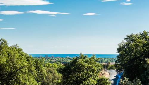 Domaine Des Mimosas - Foto 2