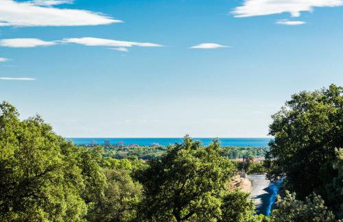 Domaine Des Mimosas - Foto 2