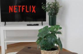 GlückAufBud Schwarzenberg WLAN Netflix Stellplatz - Foto 12