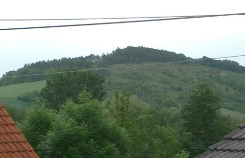 Ferienwohnung Münch - Foto 24