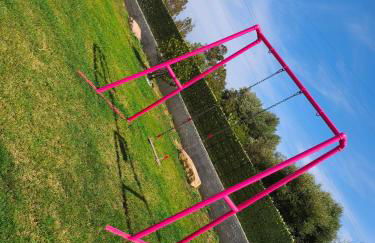 Monolocale Luna Holidays - Foto 16