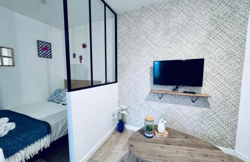 Le Calypso, métro anatole france, proche gare, CHU - Foto 11