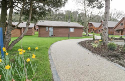 Luxury Lodge 62 - Foto 41