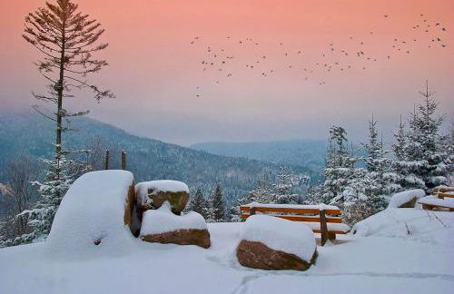 Black Forest Retreat Bad Herrenalb - Foto 35