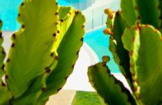 Mara's Apartments Higuerón West - Luxurious & Sunny - Foto 6