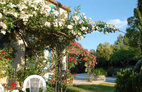 B&B Vento di Rose - Foto 7