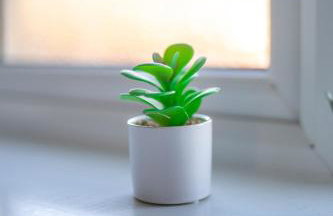 Camps Rigg Place - Foto 12