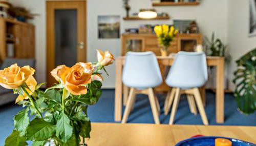 Geräumige Ferienwohnung mit Garten - Foto 5