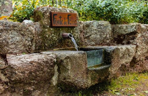 Quinta das Fontes - Alojamento Rústico Local e Turismo Rural - Foto 19