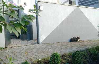 Całoroczny Apartament u Grzegorza - Foto 27