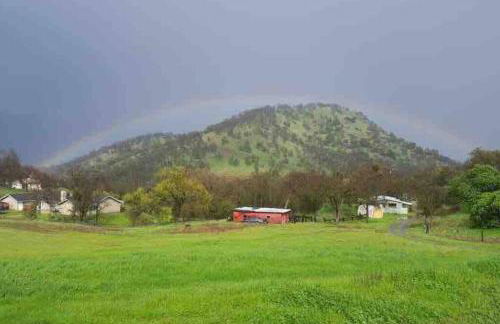 Waxberry Getaway Sequoia/Kings Canyon National Pks - Foto 43