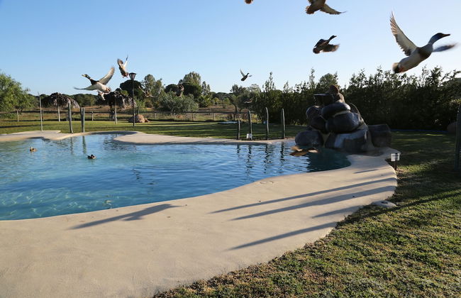 Ardea Purpurea Lodge - Photo 38