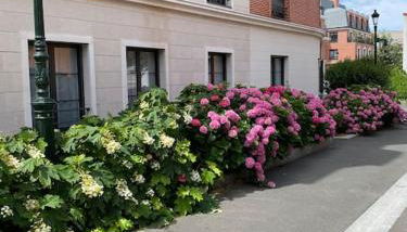 High Value up to 4pp apt La Defense & Champs Elysees - Foto 5