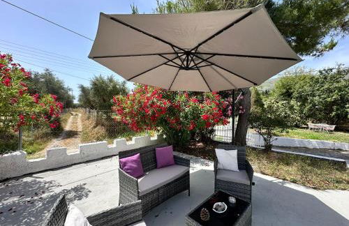 Zante Star Summer House - Photo 14