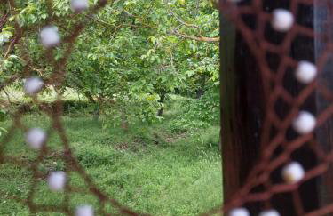 Ονειροπαγιδα - Photo 70