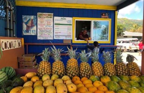 Luxury Beachfront Condo - Foto 48