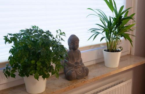 Ferienwohnungen Tobian - Foto 24