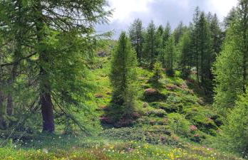 Very Nice Appartment for 4, Marilleva 900, Val di Sole - Foto 57