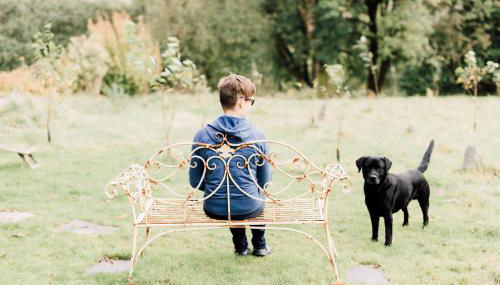 The Stable at Ty Beic - Foto 5, Garden