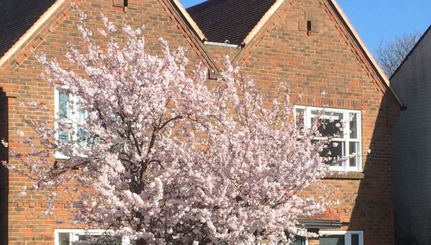 3 Summertown Court - Foto 2, Imagem principal