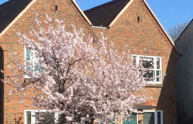 3 Summertown Court - Foto 1