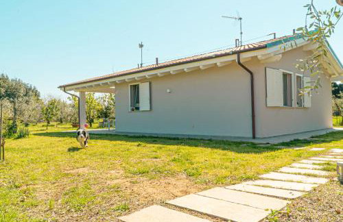 Casa RiVa - Among olive trees and the Tuscan coast - Photo 58