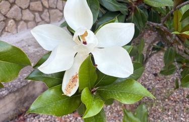 Finca Alboroto - Foto 20