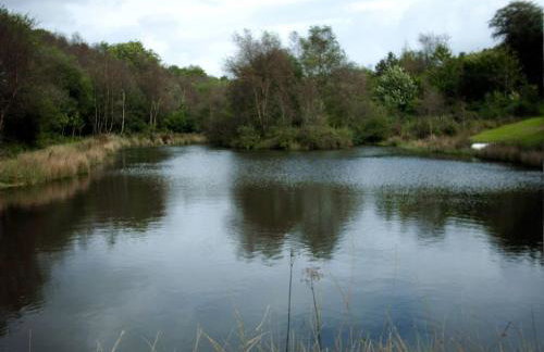 The old hayloft on 22 acre country smallholding - Foto 27