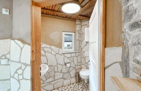 Admiral Vanessa - Foto 34