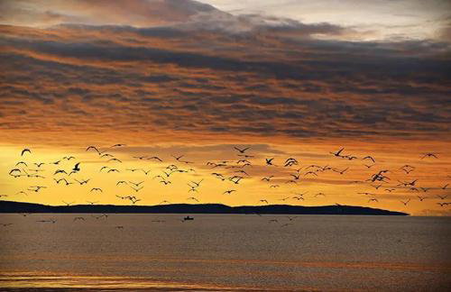 Apartman Olimp - Foto 57