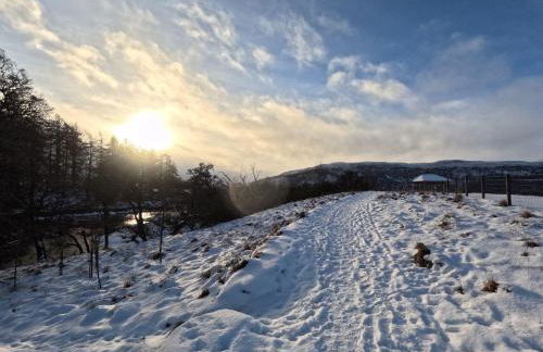 Orange Squirrel Lodge - Foto 30