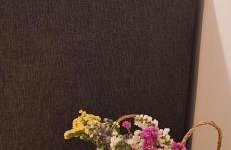 Tenios Urban nest retreat - Foto 7