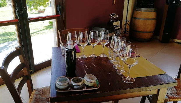 Time to try some delicious wines!