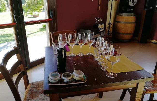 Mount Etna Winery Visit - Photo 4