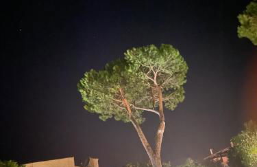 Villa Marghe - Foto 9