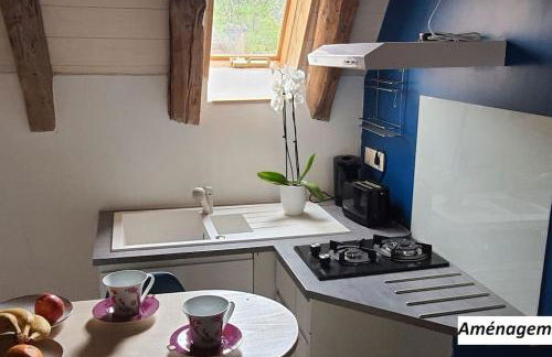 Le gros chêne, gite du XVIII siècle, jacuzzi privatif - Foto 8