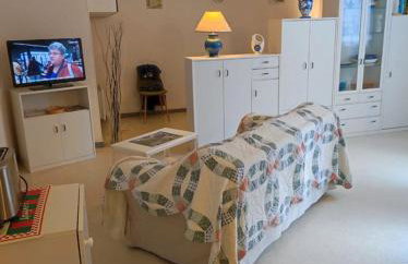 Grand Studio Balcon Parking Privé classé 1 étoile Aulus les Bains - Foto 3