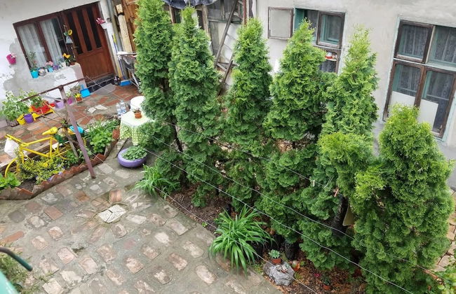 Downtown Duplex - Foto 40