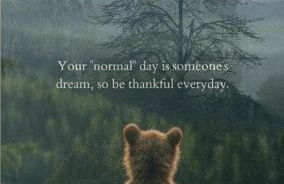 Sopra le nuvole - Foto 66