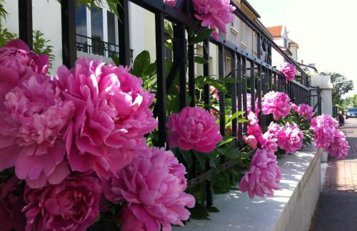 Les Jardins de l'Ile - Foto 14