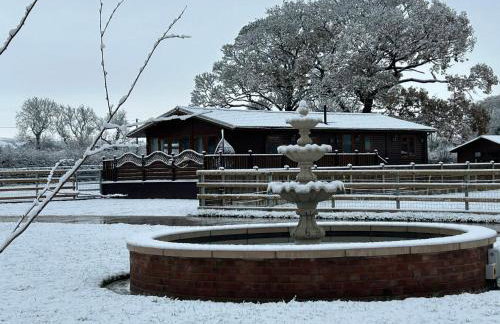 The Lodge - Foto 5